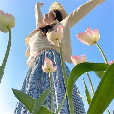 槑头槑脑3